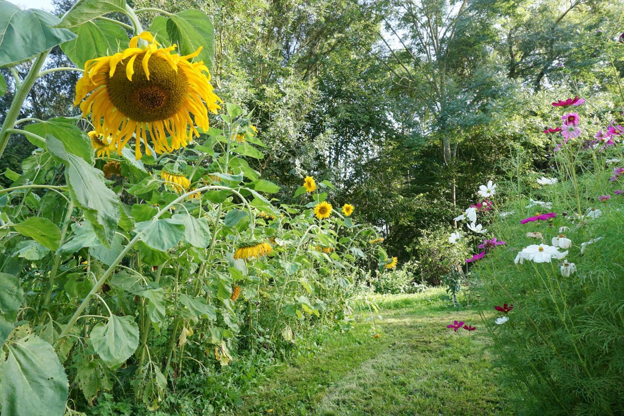 Green Home La Roche-Guyon Zewnętrze zdjęcie